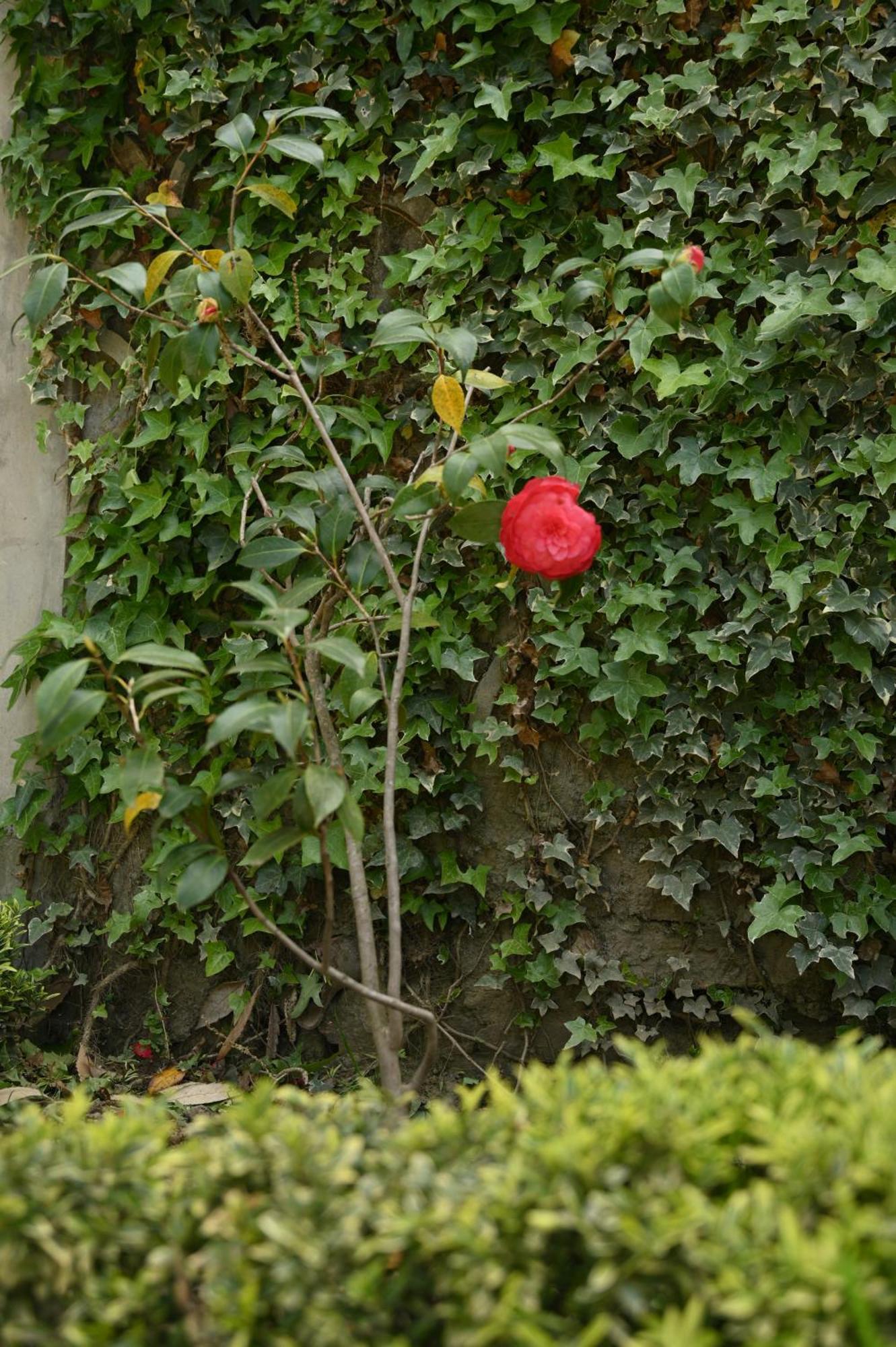 Kabana De Nature Rājgarh Exterior foto